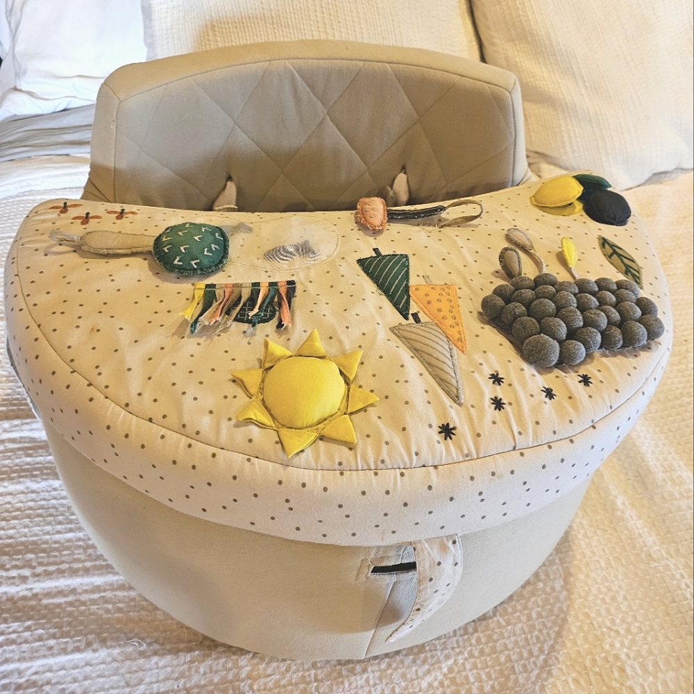 Crate & Barrel Activity Chair